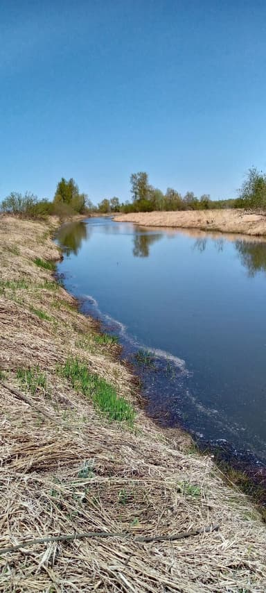Карась, Карп — протока Селезнёвская, 23 мая 2023 г.