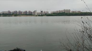 Щука, Окунь — Иртыш, 31 авг. 2024 г.