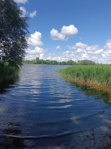 Окунь — Волга, 27 июн. 2026 г.