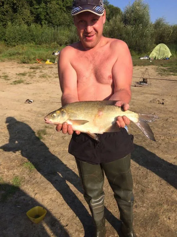Лещ