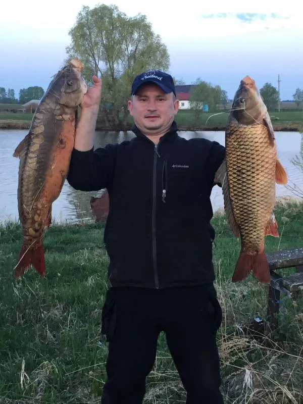 Карп