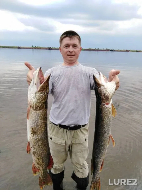 Щука — Саускановское, 18 авг. 2018 г.