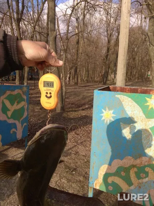 Сом — Северский Донец, 18 мар. 2019 г.