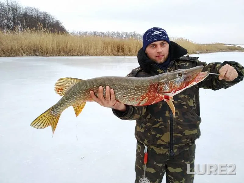 Щука — Донецька область, 27 мар. 2019 г.