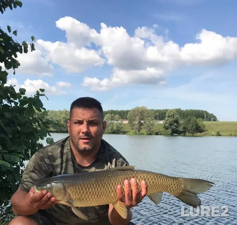 Карп — Линёвое, 30 авг. 2019 г.