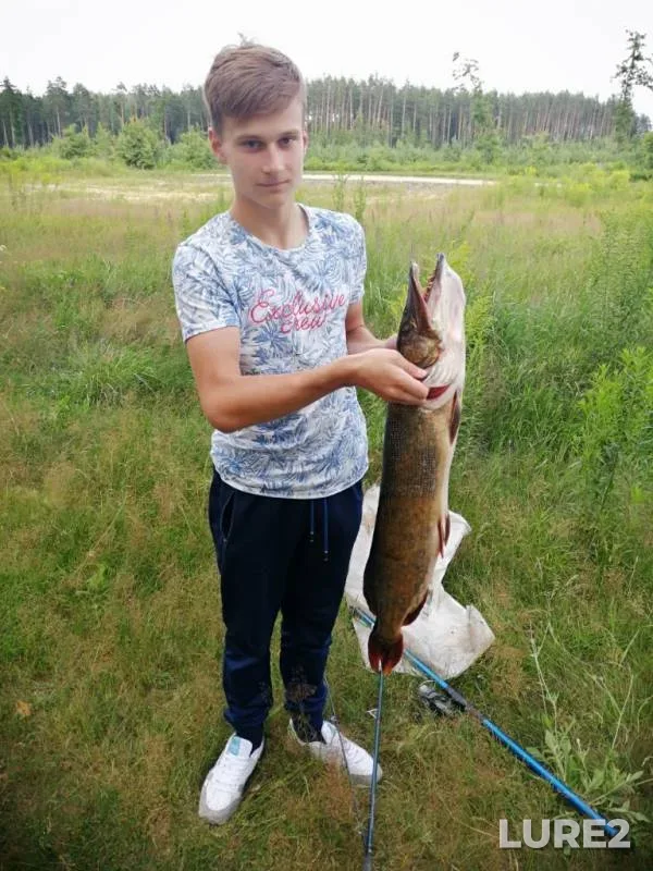 Щука — Минская область, Смолевичский район, 13 июл. 2019 г.