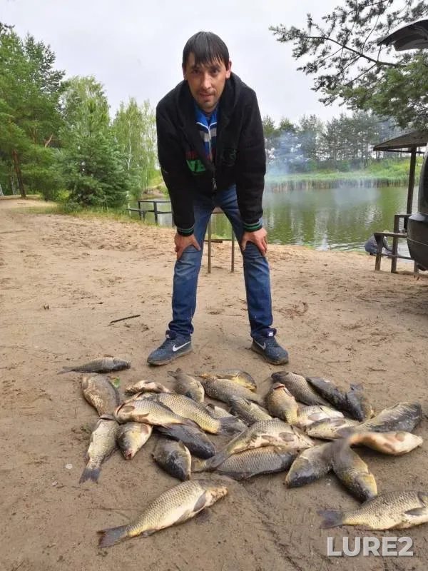 Карп