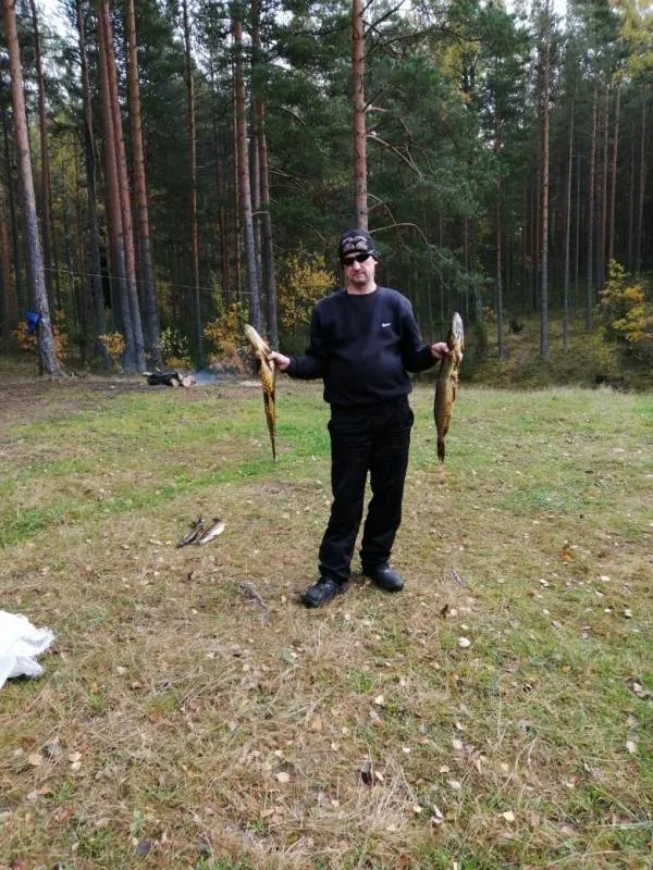 Щука