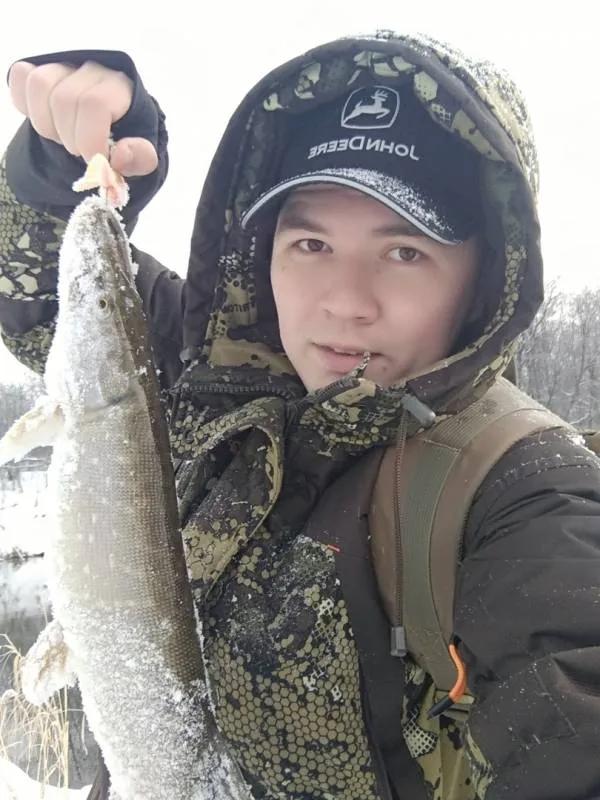 Щука
