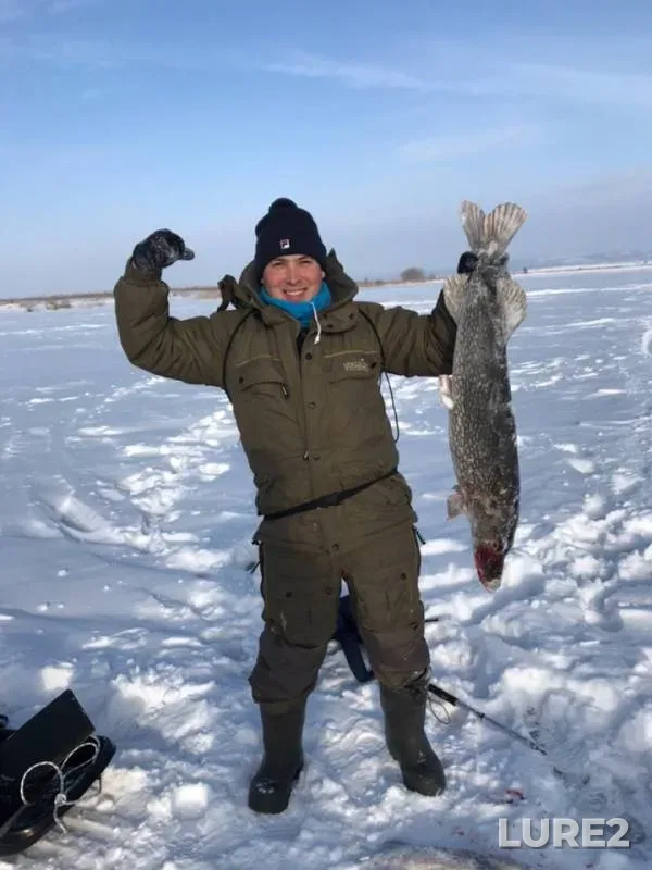 Щука — Нижнекамское, 11 февр. 2019 г.