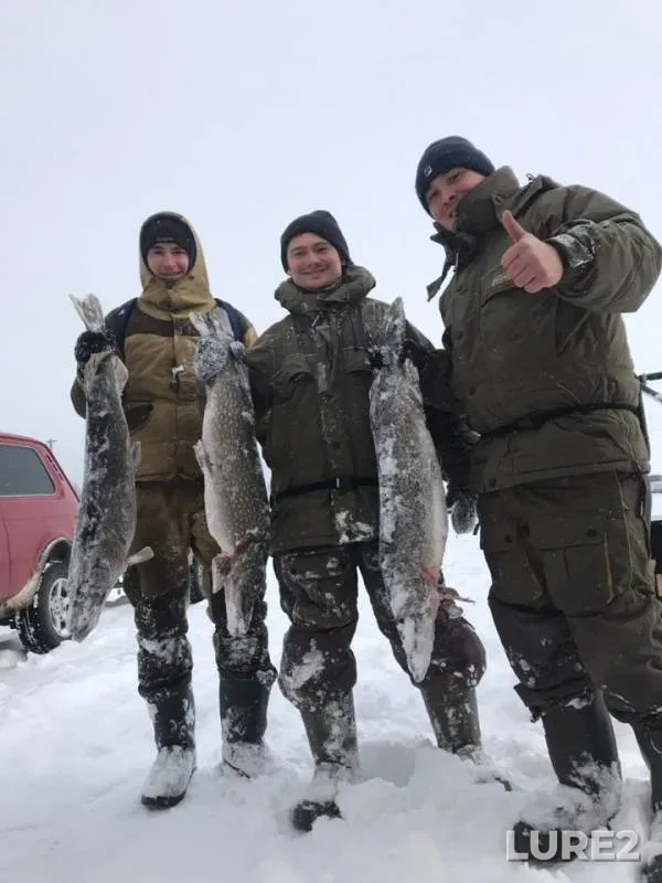 Щука — Нижнекамское, 28 февр. 2019 г.