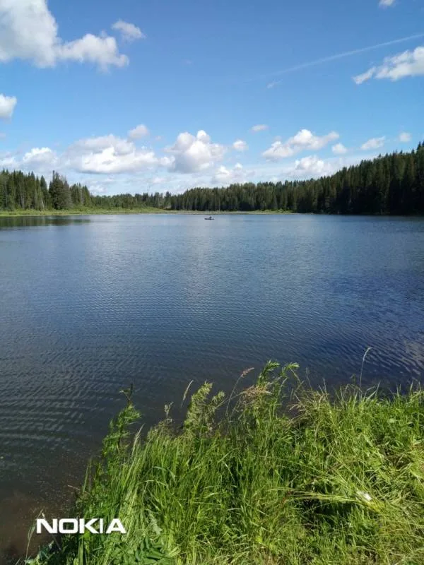 Окунь, Линь