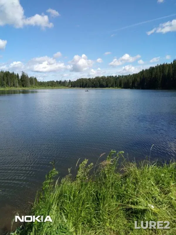 Окунь, Линь — Мукшинка, 07 июл. 2019 г.