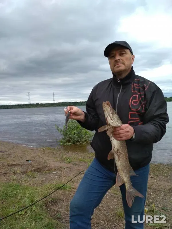 Щука — Коноваловка, 28 июл. 2019 г.