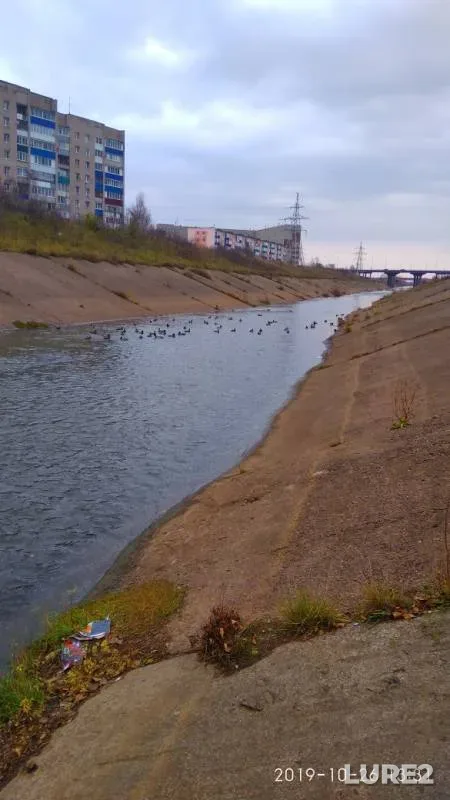 Щука — Большая Сарапулка, 26 окт. 2019 г.