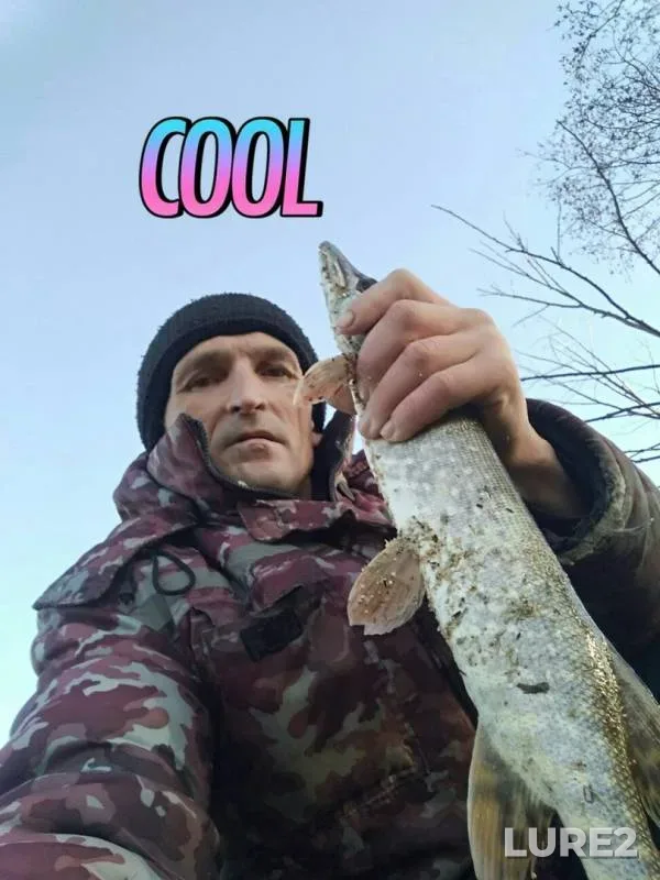 Щука — Тойма, 14 нояб. 2019 г.