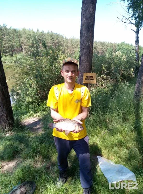 Карась