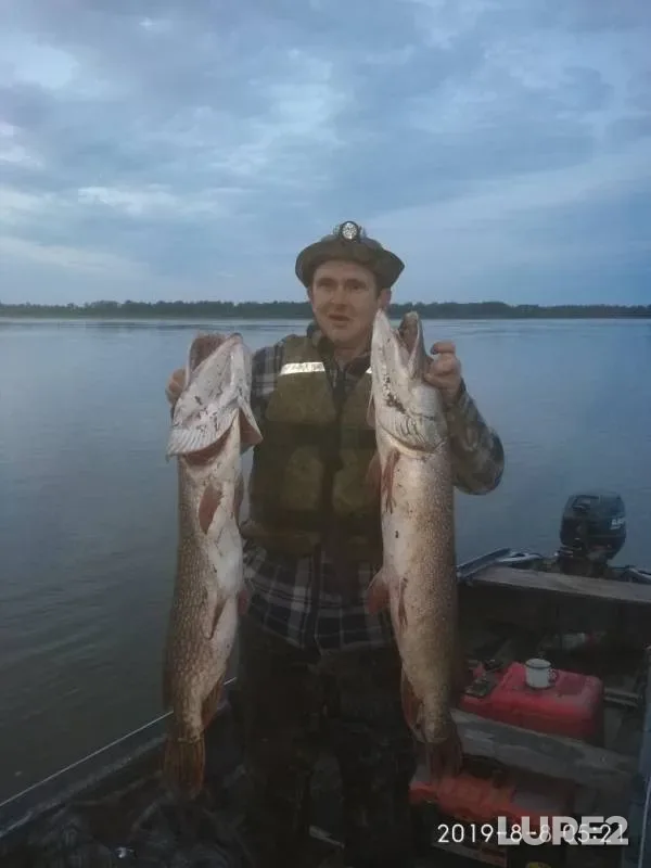 Щука — Саровка, 08 авг. 2019 г.