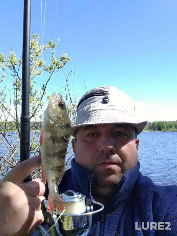 Окунь