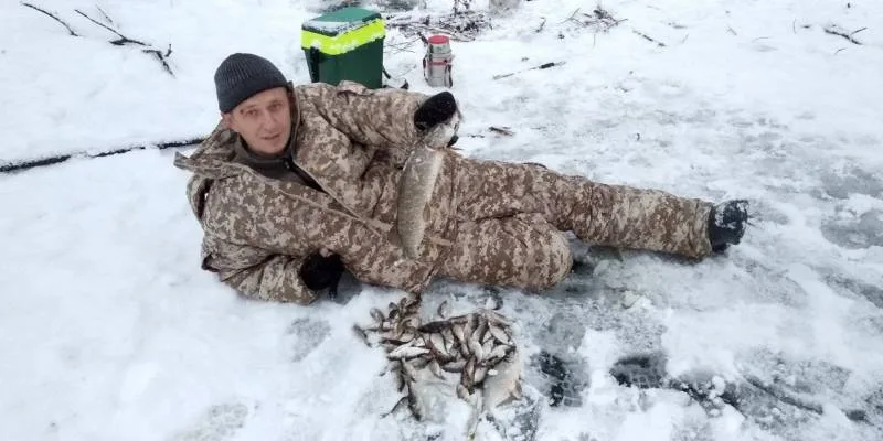 Окунь, Щука