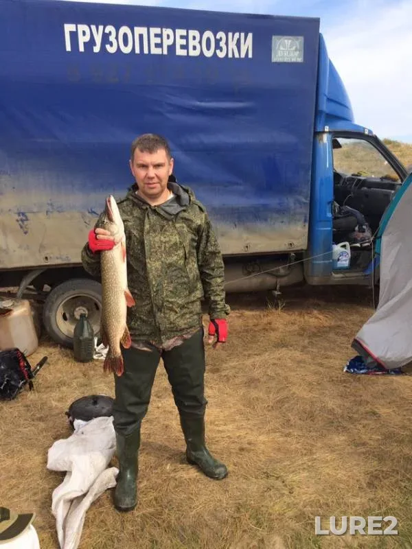 Щука — Астраханская область, Ахтубинский район, 18 окт. 2018 г.