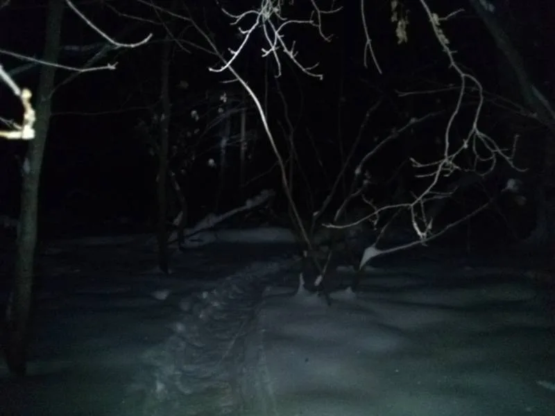 Окунь, Щука