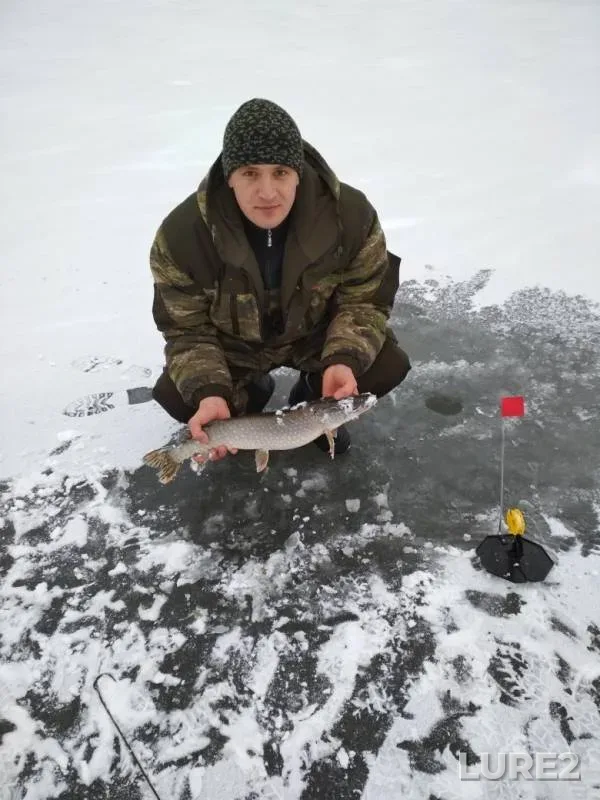 Щука — Сухой Еланчик, 22 дек. 2018 г.