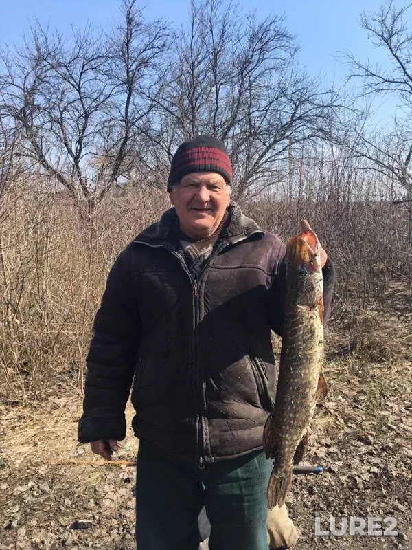 Щука — Полтавська область, 29 мая 2019 г.