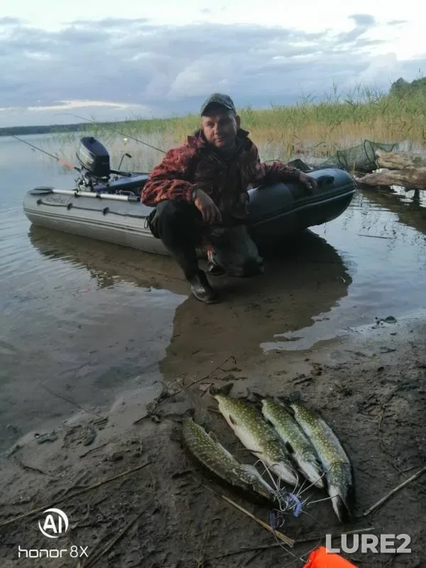 Щука