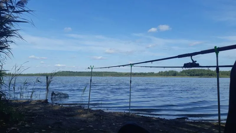 Карп