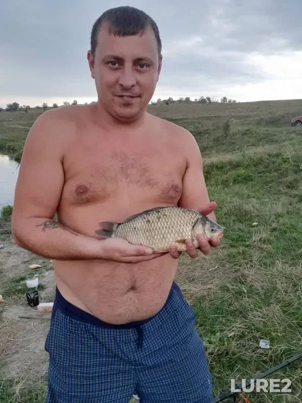 Карась — Ставропольский край, 30 июл. 2019 г.