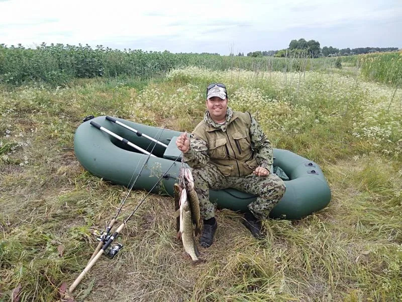 Щука