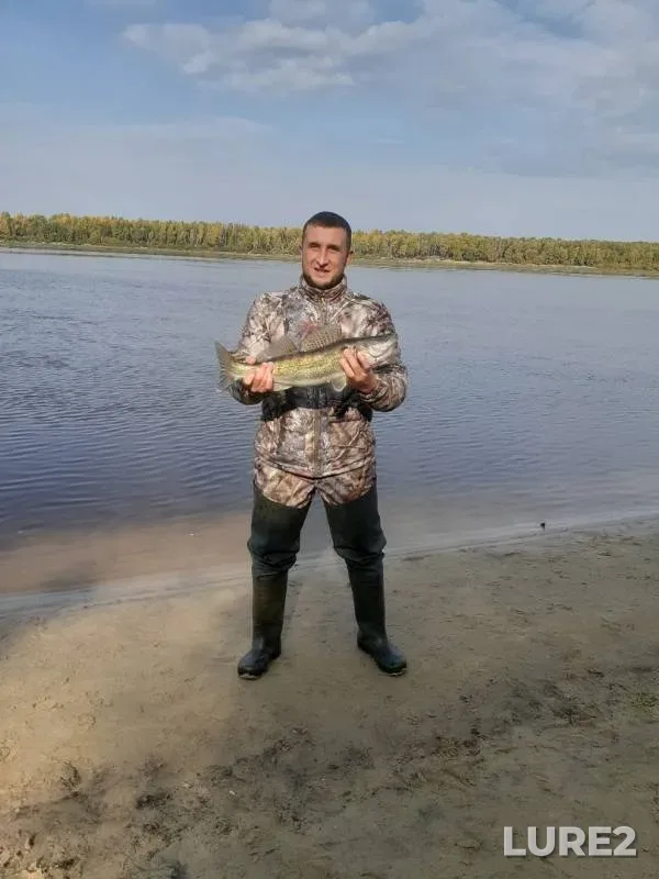 Судак — Иртыш, 16 сент. 2019 г.