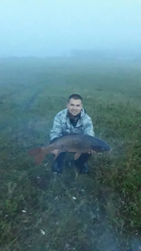 Карп