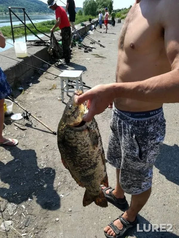 Карп — Ока, 10 июн. 2019 г.