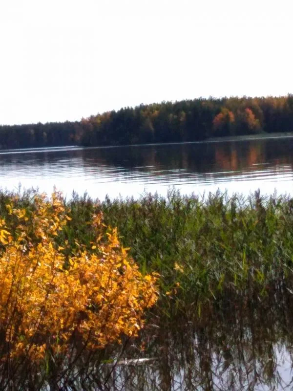 Окунь