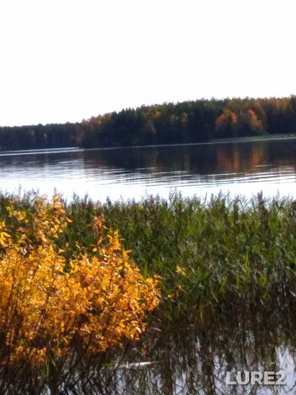 Окунь — Пермский край, 10 сент. 2019 г.