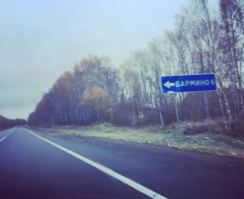 Щука, Судак