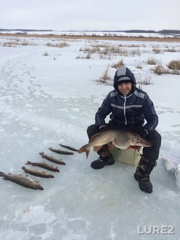 Щука — Мензеля, 24 мар. 2019 г.