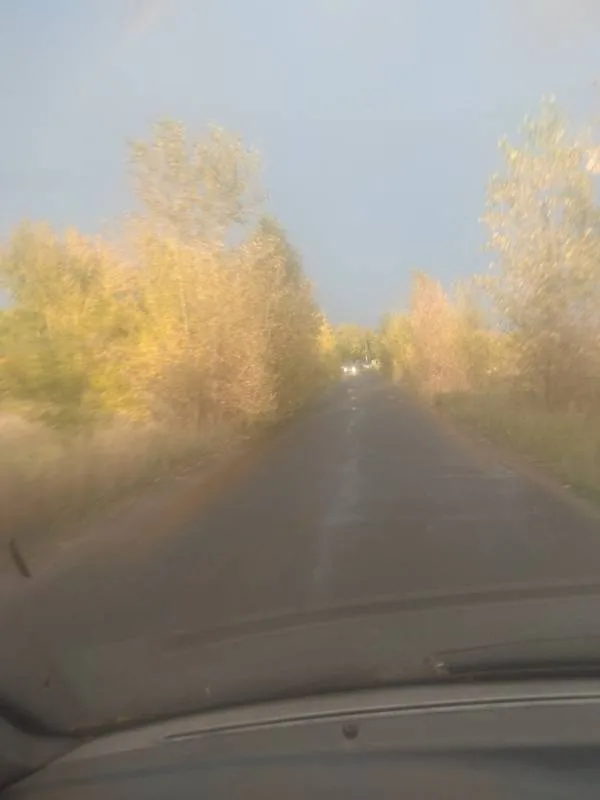 Щука