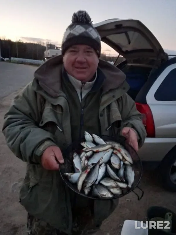 Плотва — Ратомский залив, 29 окт. 2019 г.