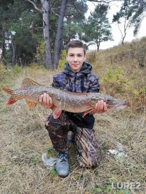 Щука — Белгородская область, 29 сент. 2019 г.