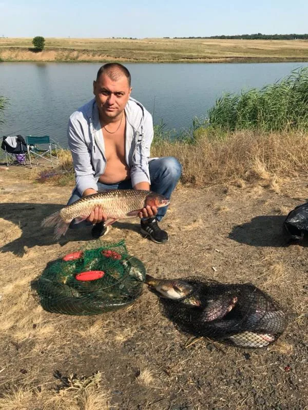 Карп