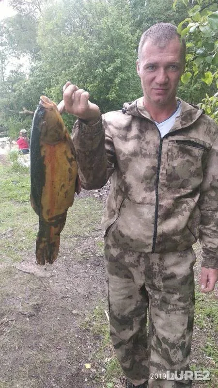 Линь — Волга, 14 июл. 2019 г.