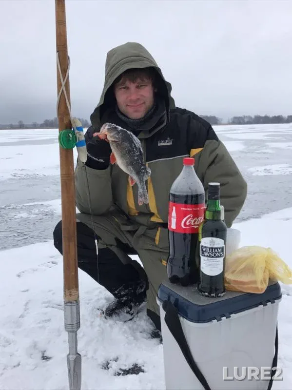 Окунь — Днепр, 28 янв. 2017 г.
