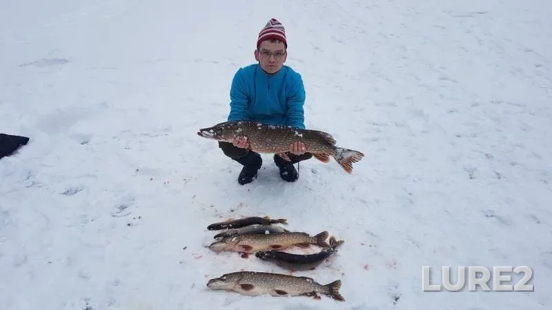 Щука — Волхов, 24 мар. 2019 г.