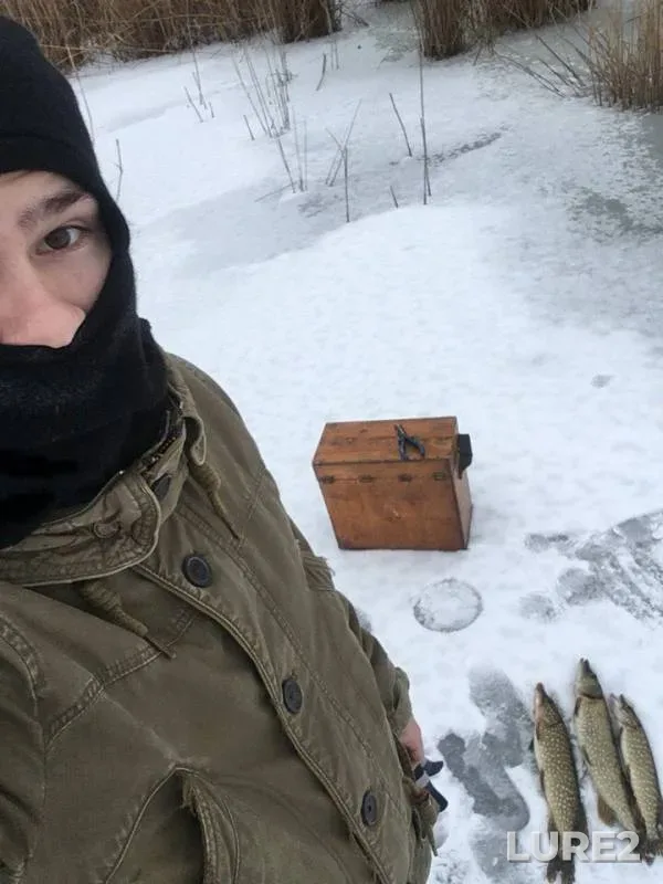 Окунь, Щука — Краснодарский край, Каневской район, 01 февр. 2018 г.
