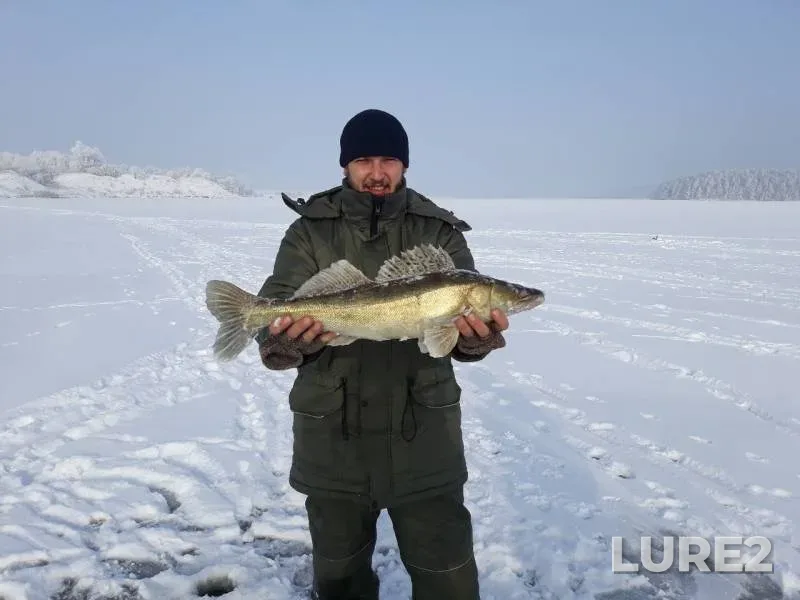 Судак — Гродненское, 25 мар. 2019 г.