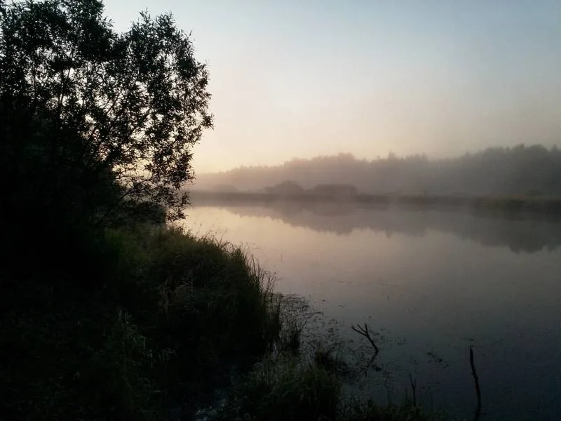 Карась