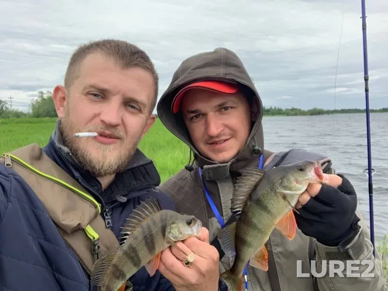 Окунь — протока Сухой Балык, 27 июн. 2019 г.